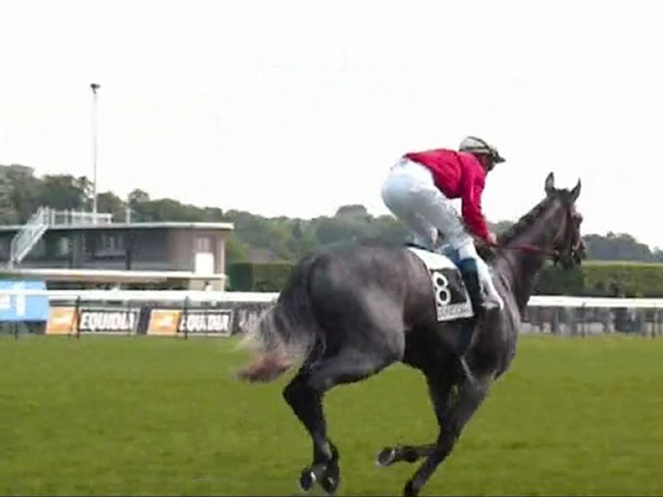 Tin Horse