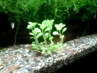 VID 00008-20110427-0802