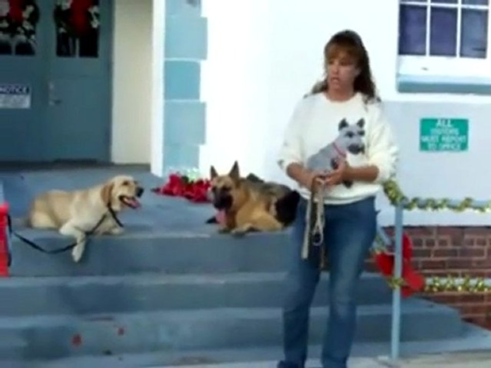 YouTube - Why E-collars work better than other collars!