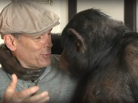 Teaser 1 / LAURENT BAFFIE / LES BONOBOS / THÉÂTRE PALAIS ROYAL / PARIS