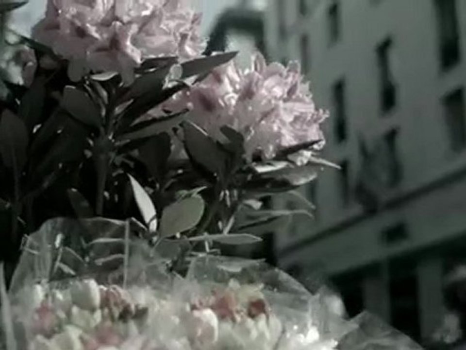 Joy Denalane - Niemand (Was wir nicht tun)