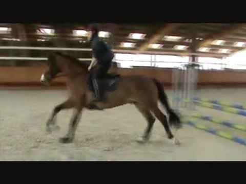 stage Pradier Paul Adrien cso1