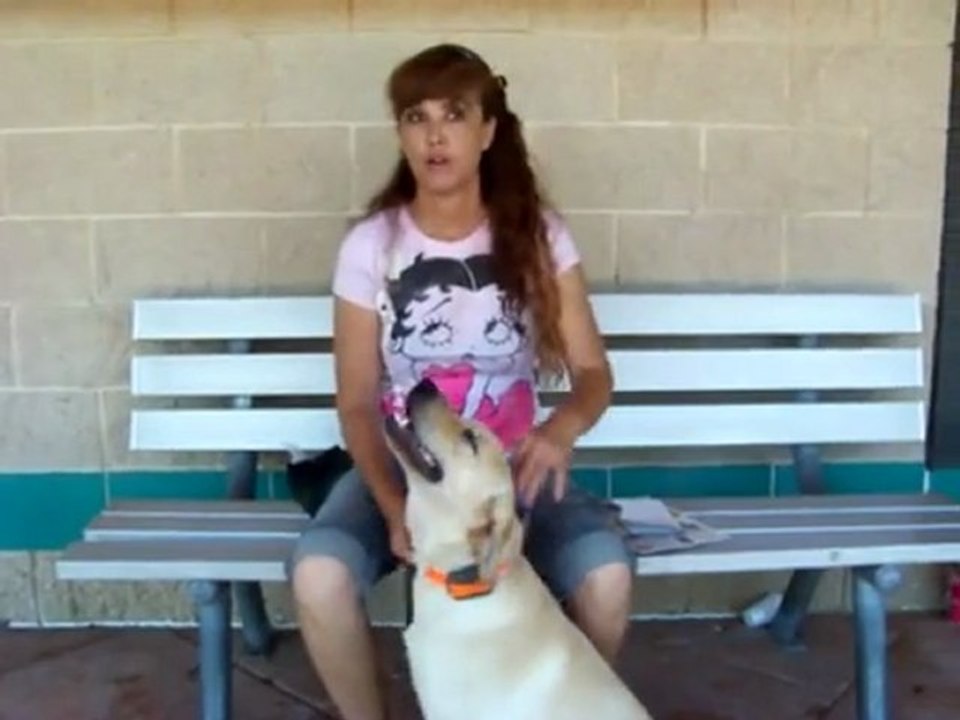 YouTube - Proper use of Electronic- E-collars Dogtra-1