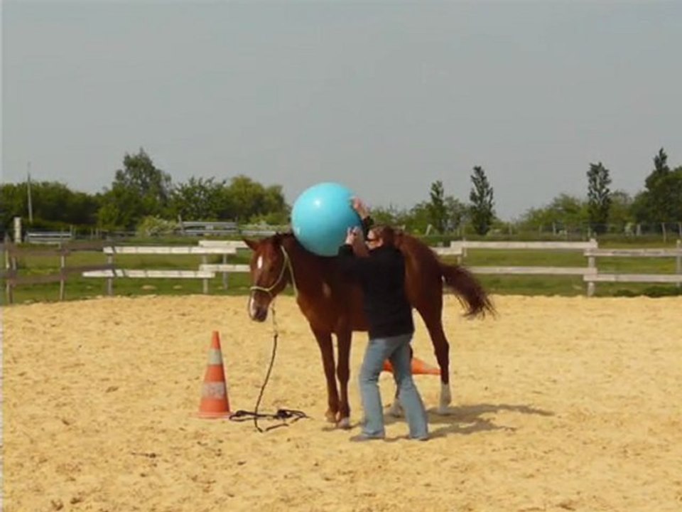 Jeu de l'amitié (ballon) - 27 avril 2011