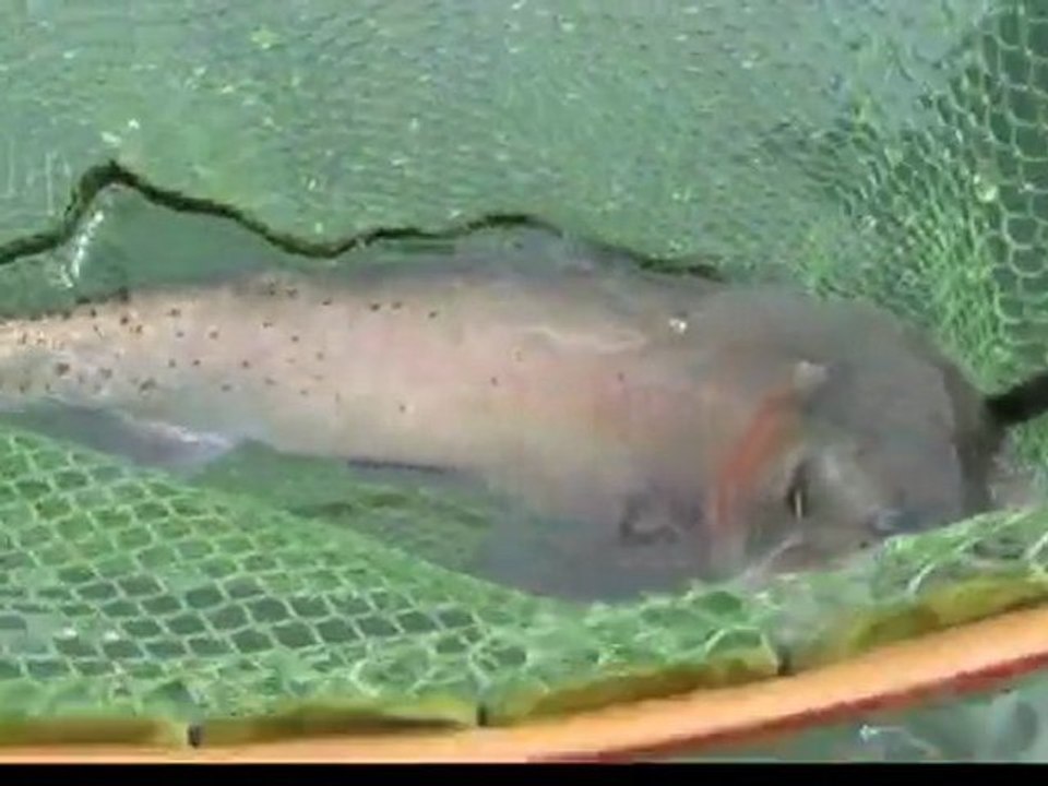 Hendrix Outdoors - 2nd catch at Pyramid Lake with Hendrix Waders