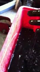 HUILE MOTEUR QUI SENT L ESSENCE