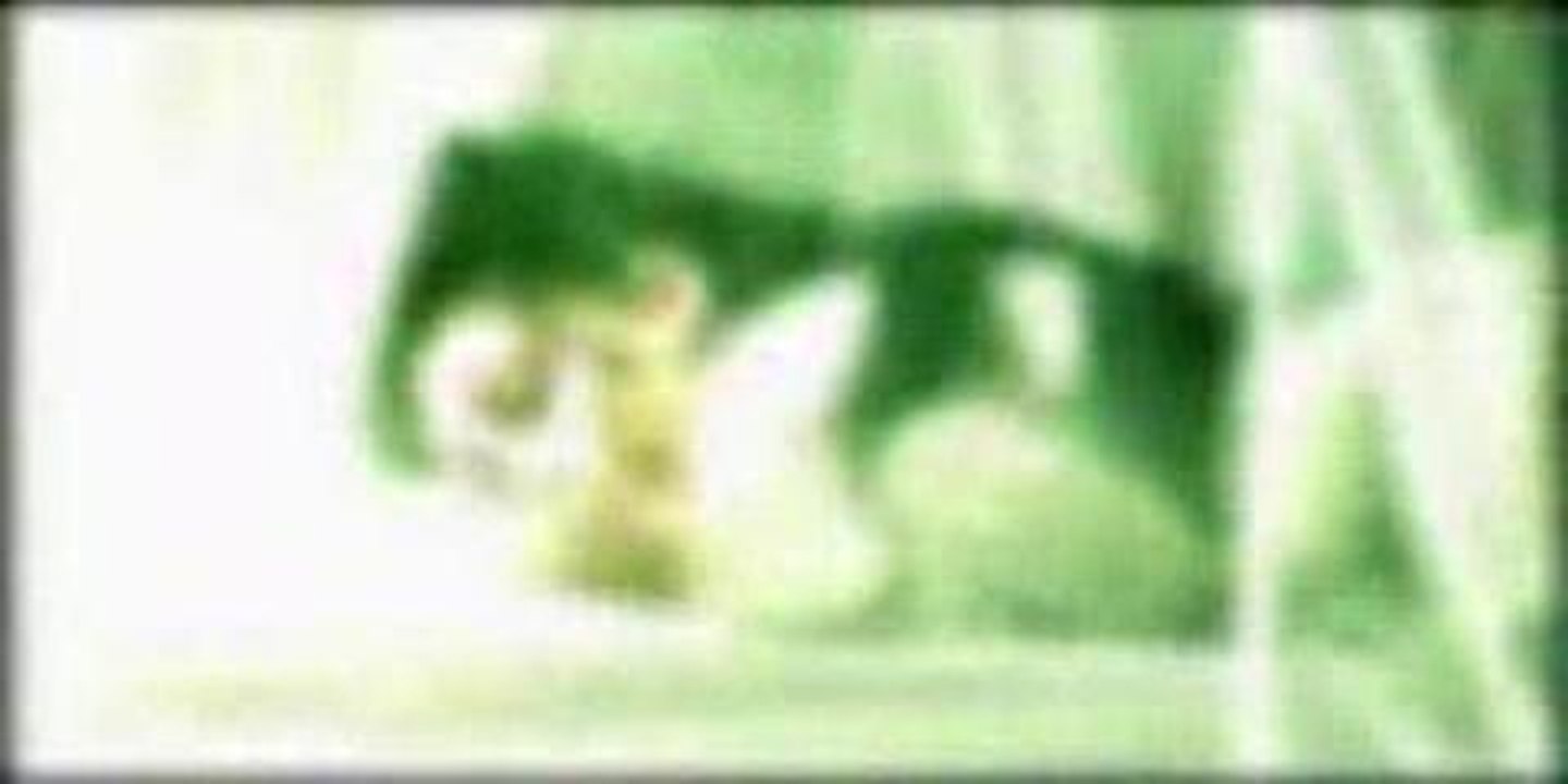 Ancient-NightVisit(TV Edit)