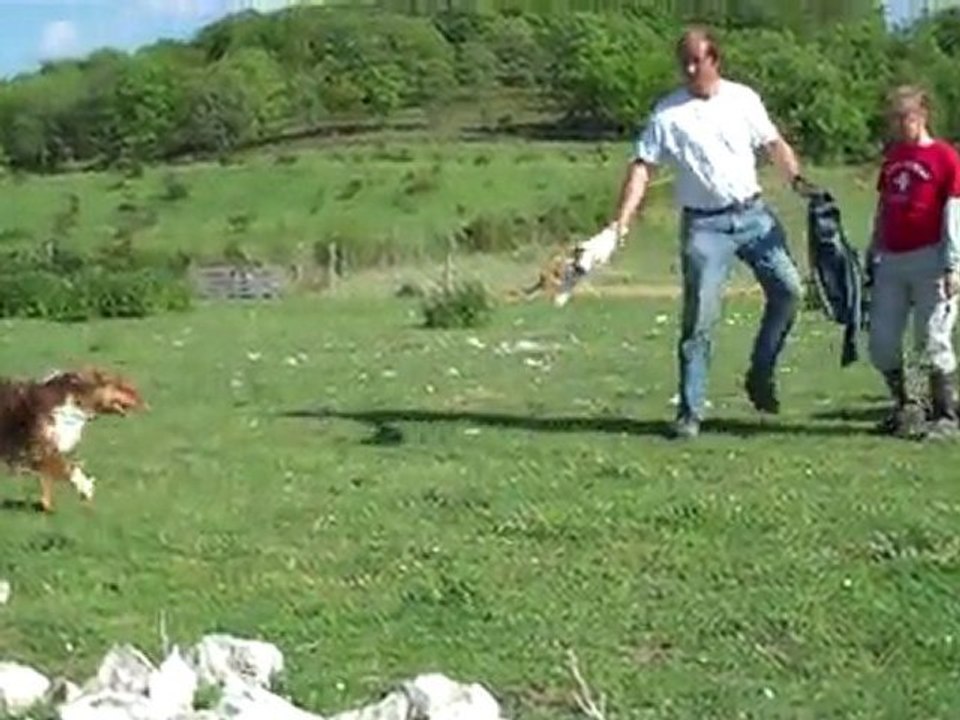 Troupeau Marie et Ever