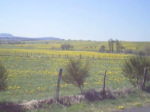 Massif du Sancy: Balade du coté d'Espinasse (La Maison bleue)