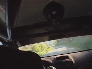 Rallye Lyon-Charbonnières 2011