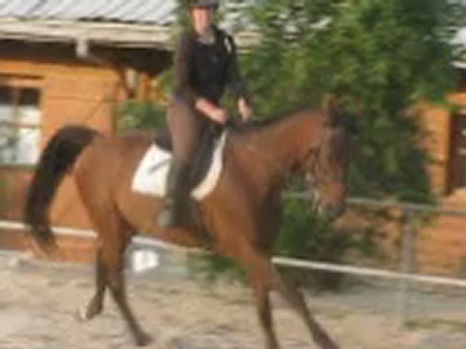 rodeo du rib 27 04 2011