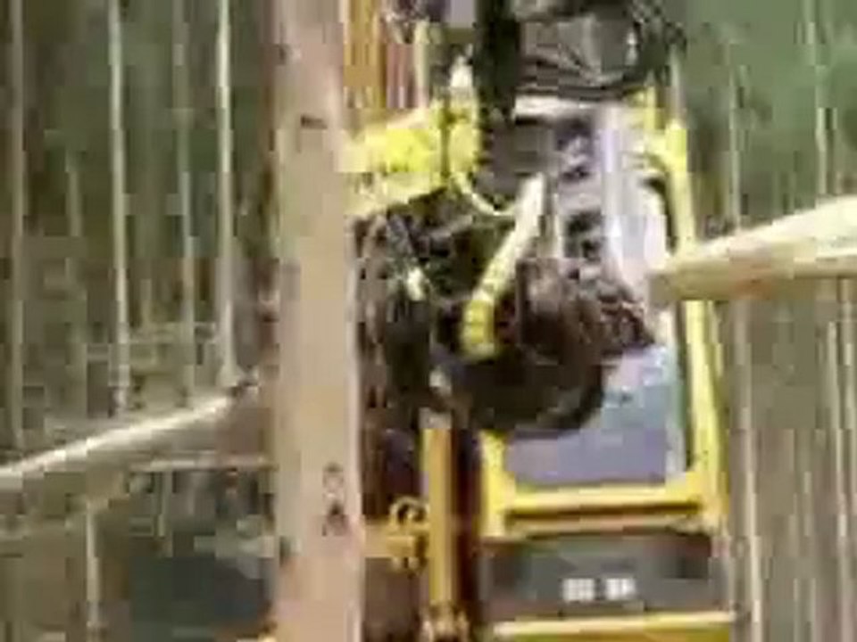 ağaç kesme makinası