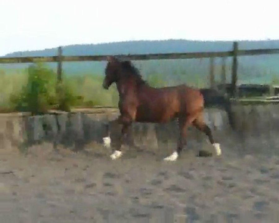 flicka piste