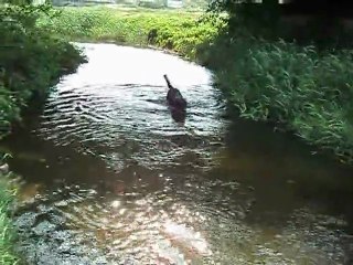 ma belle naiade ! 005