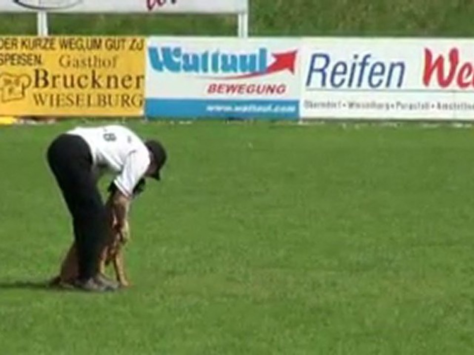 Baci-ATIBOX-Unterordnung IPO 2