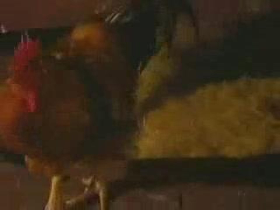Bad Cock