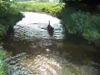 ma belle naiade ! 005