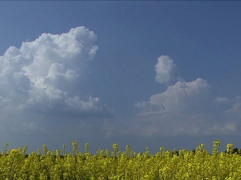 Chasse du 23 Avril 2011 dans Les Vosges