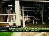 Lluvias en Colombia afectan producción lechera