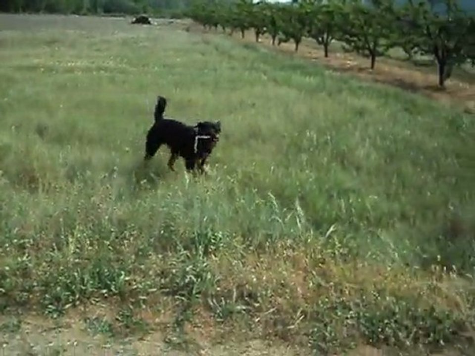 ma belle naiade ! 011