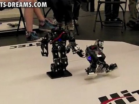 RoboGames 2011 - Lightweight Humanoid Robot Kung Fu Final