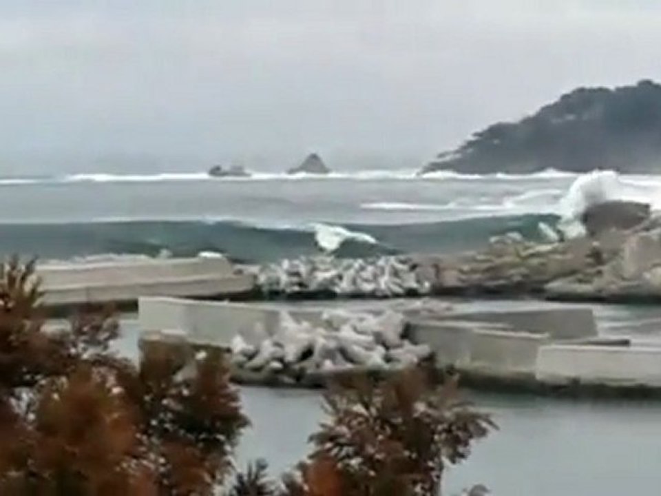 Giappone - Lo Tsunami 53
