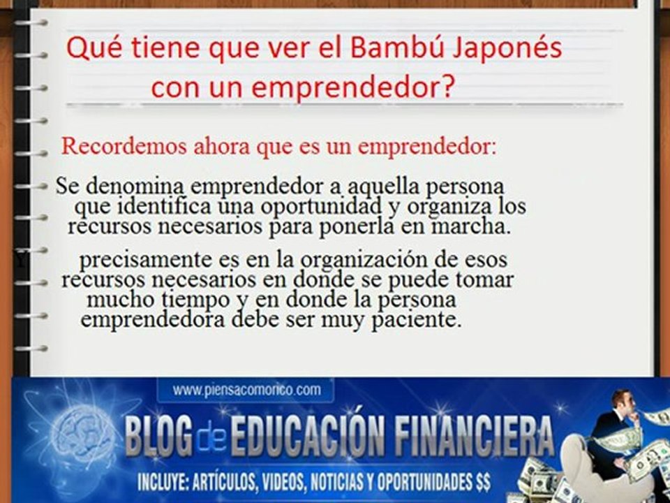 Bambu Japones y un Emprendedor?