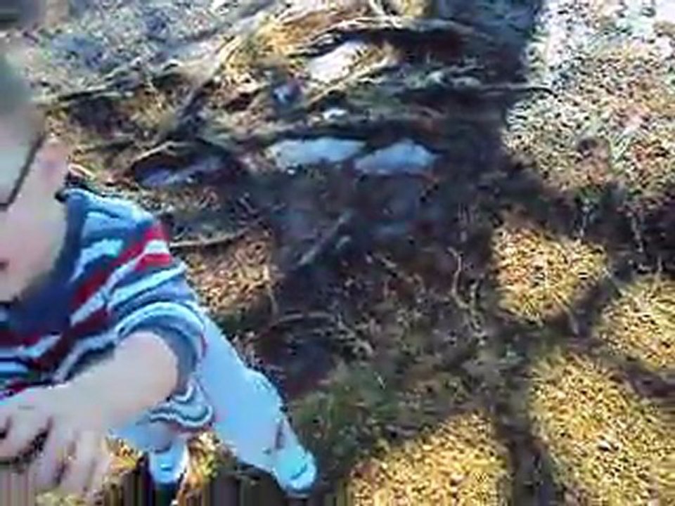 Videos 013