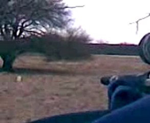 test mauser 444 marlin