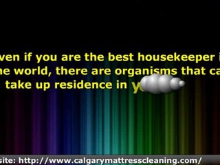 Mattress Stain Removal Calgary