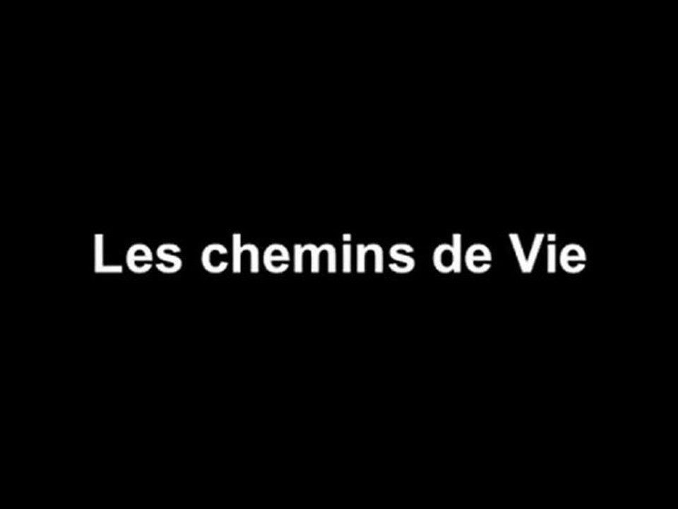 Les chemins de Vie