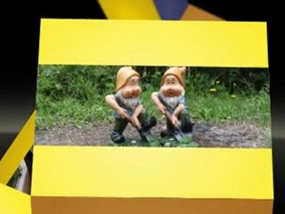 Wellington and Auckland Professional Painting Service