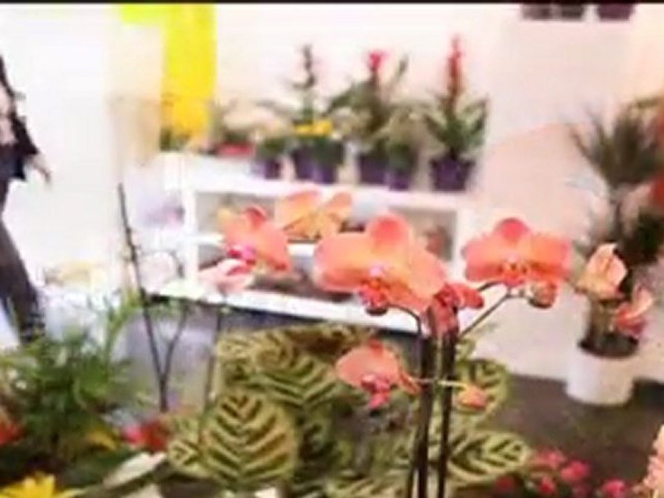 ADOLFO FLORISTAS - FLORISTERÍA - Olías del Rey, Toledo