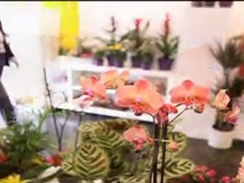 ADOLFO FLORISTAS - FLORISTERÍA - Olías del Rey, Toledo