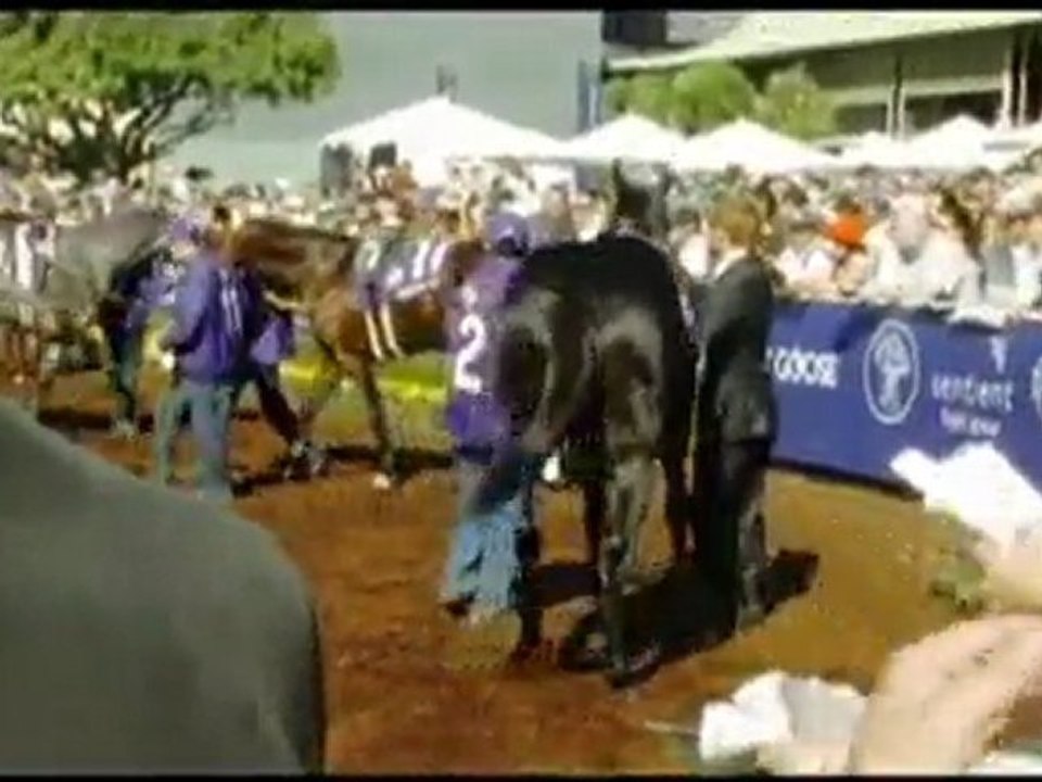 Breeders Cup Turf Sprint