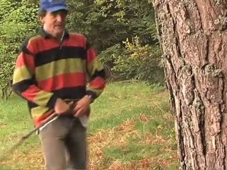 Pisse pas sur ma cabane dans les arbres !