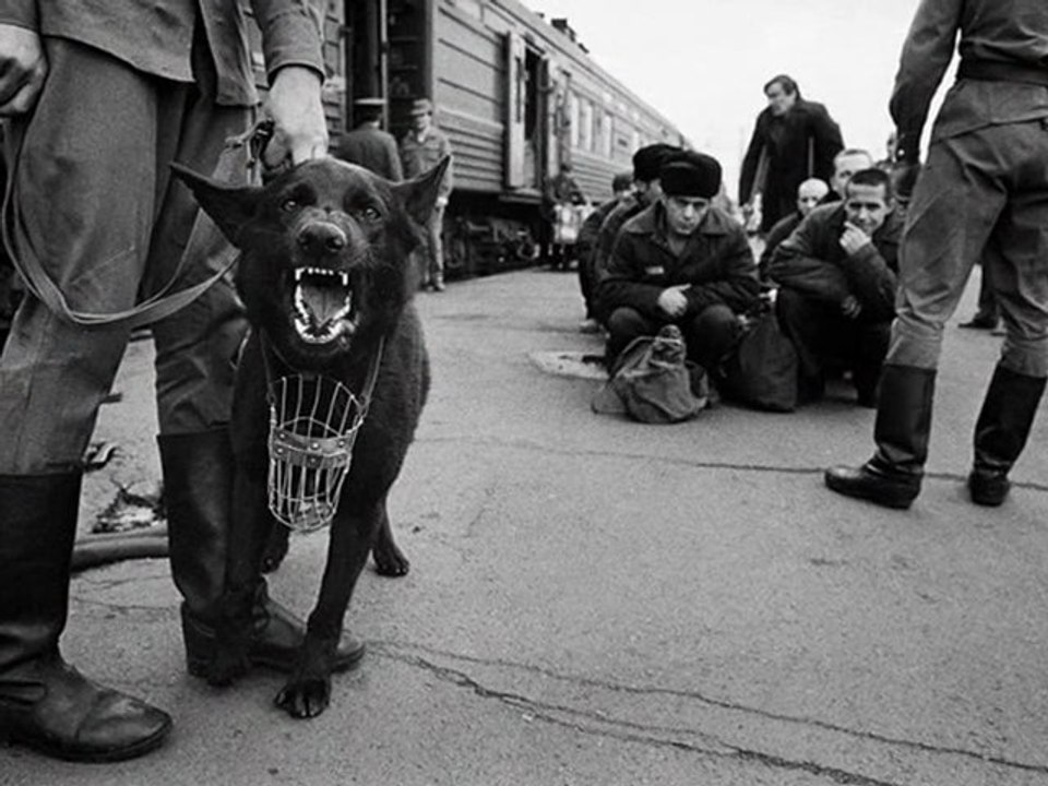 Сергей Наговицын - "Этап"