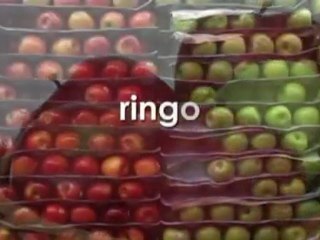 Apprendre le japonais pour débutant