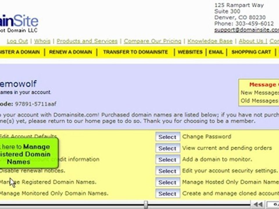 Transferring domain names away from DomainSite.com by VodaHost.com web hosting
