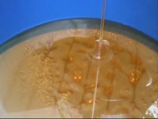 l'Apiculture, ça coule, ça coule