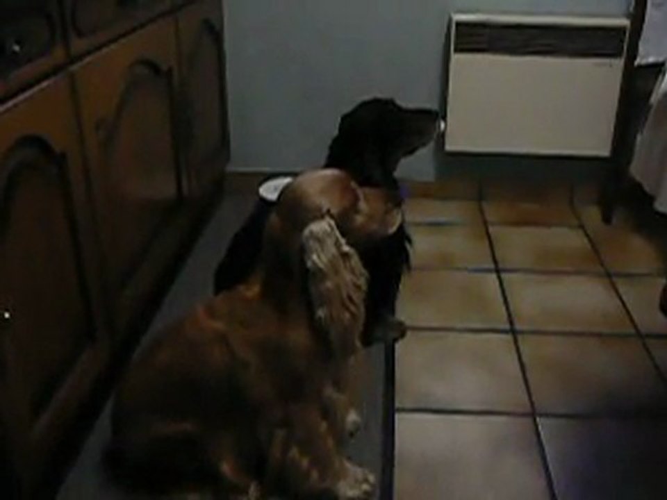 quand la faim nous tient !!!