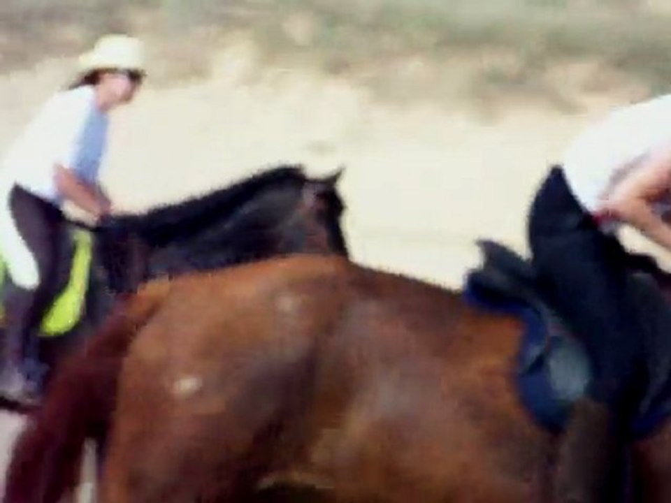 Galop plage