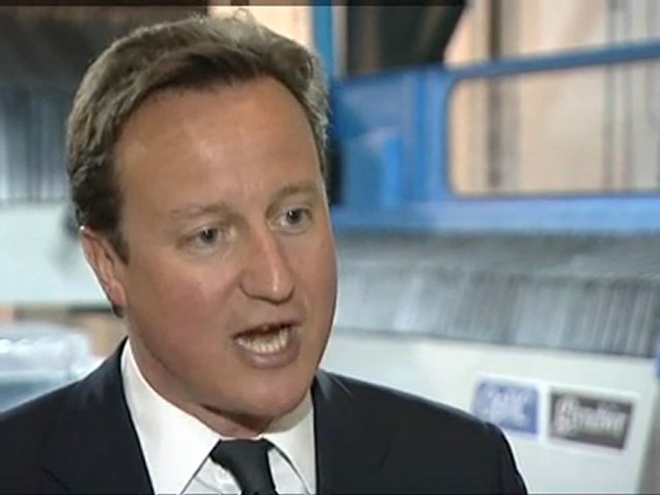 Cameron's Royal wedding gift