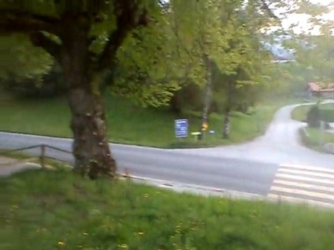 Vache Gruyeres 27.04 dou3a2