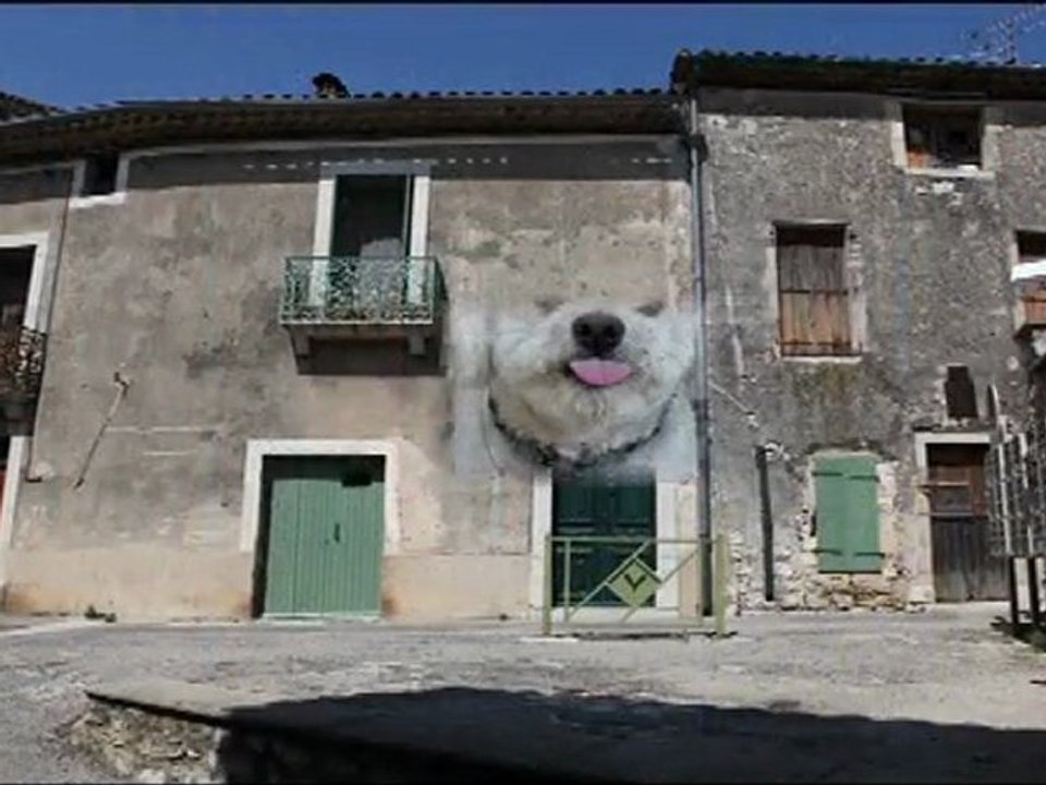 tvcapu-viols le fort-maison natale