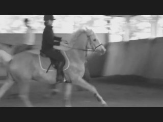 Un nouveau jour avec de nouveaux chevaux 🐴