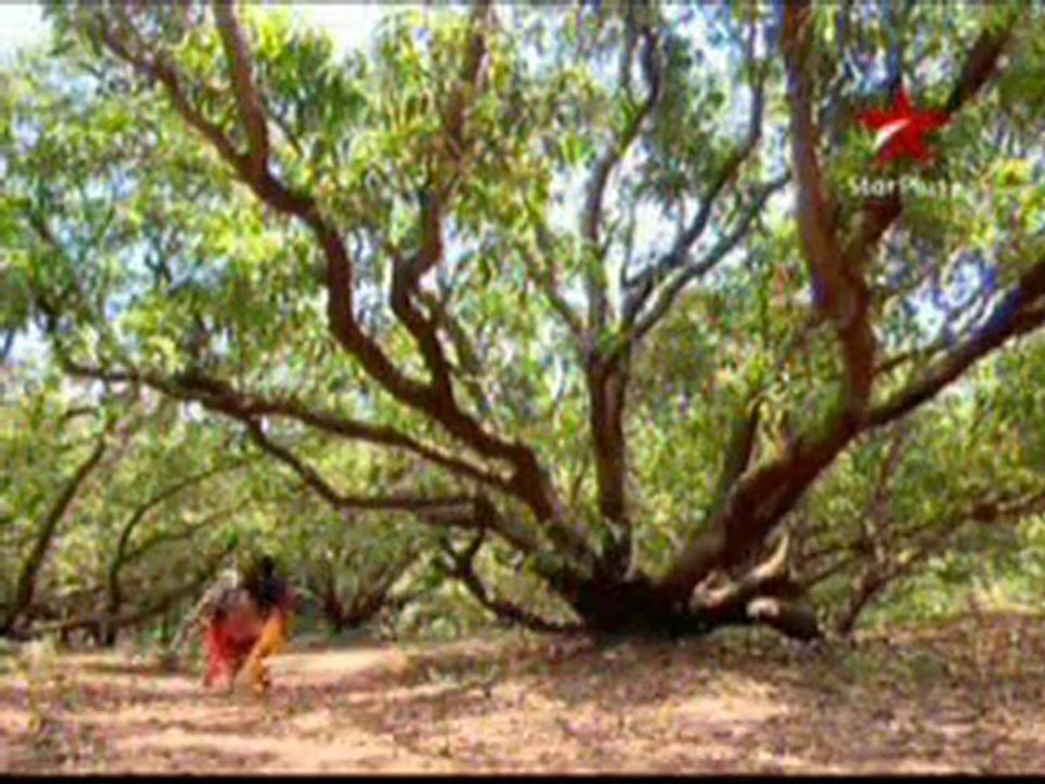 Gulaal - 28th April 2011 pt3