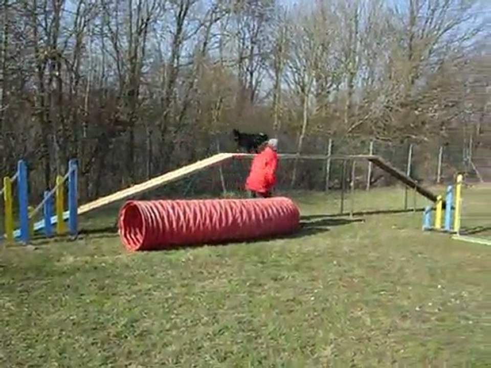 DSCN6336