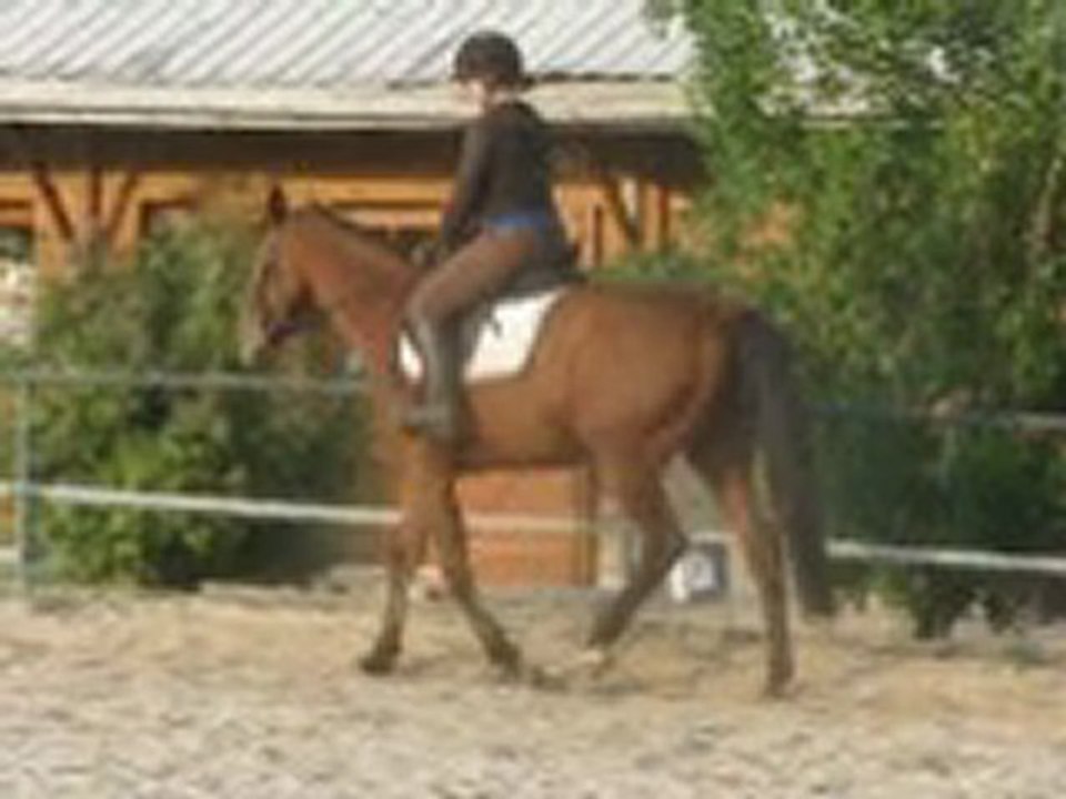 rodeo du rib 27 04 2011 2