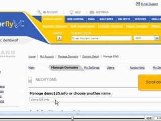Update your DNS at RegisterFly.com by VodaHost.com web hosting